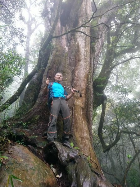 美麗的山林～加里山（小百岳）O型走597879