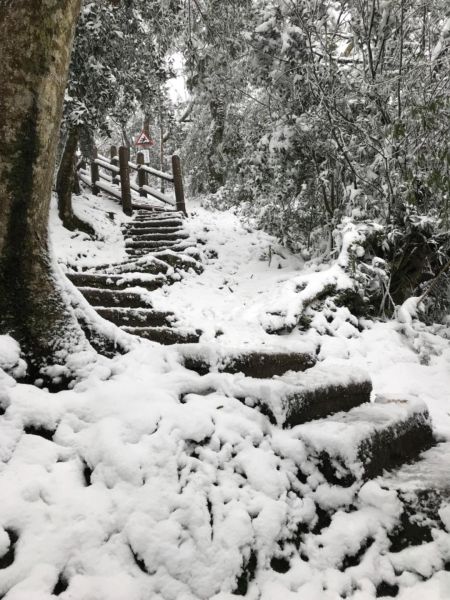 201802 東眼山追雪記自導式步道294085