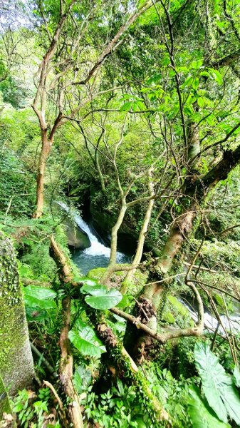 基隆暖東峽谷，金山獅頭山公園，燭臺雙嶼，金包里山，神秘海岸，巨岩海蝕洞（一線天）1729067