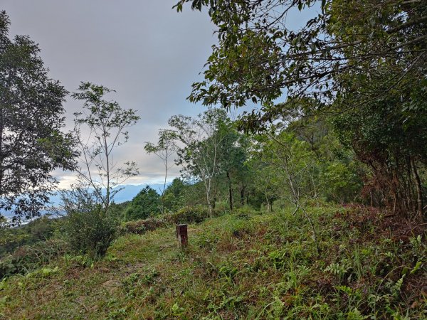 2023.12.14 鵲子山2804611