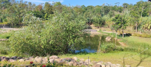 大湳森林公園2910967