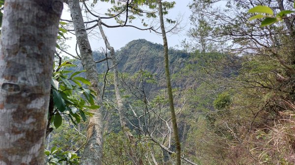 大克山北登山口森林遊樂區起登1332925