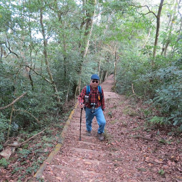 馬那邦山(珠湖線來回)375048