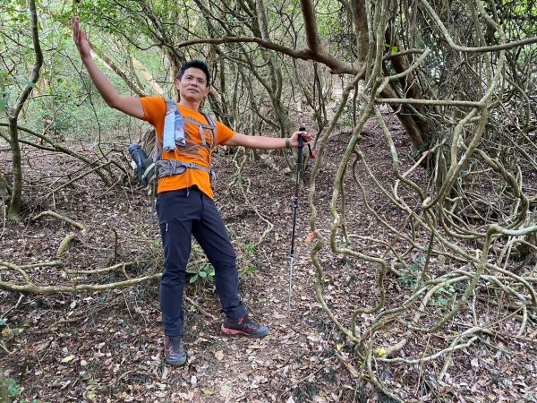 巴層巴墨山【一趟讓人刷新三觀的山林之旅】2714495