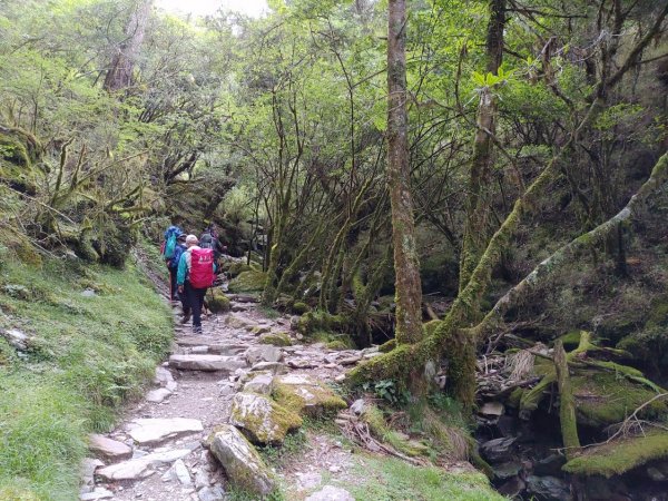 嘉明湖 三叉山 向陽山1027465