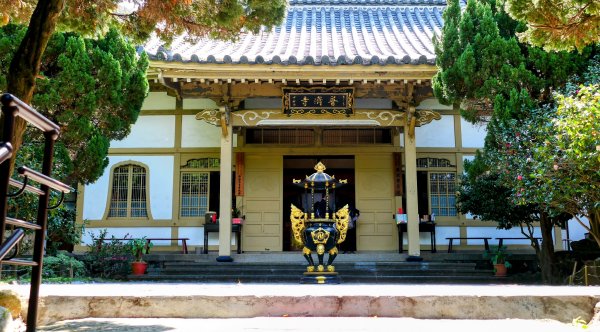 《蝶戀花・善光寺禪門櫻花》2709757