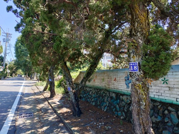 松柏嶺O形2908120