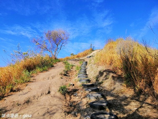 台中烏日~一杯咖啡的健行時光~知高圳步道+雪蓮步道+學田山