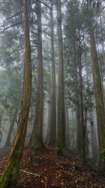 112.04.08 油羅山2123585