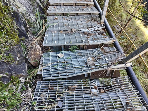 [玉山尋寶任務-07/12] 2025_0824 八通關雲龍瀑布步道2870667