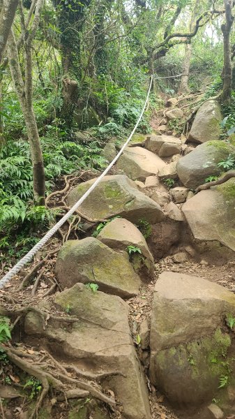 2026-0116 大屯三山_貴子坑_北投2984736