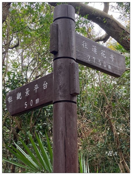 鳳崎落日步道、山腳山2713470