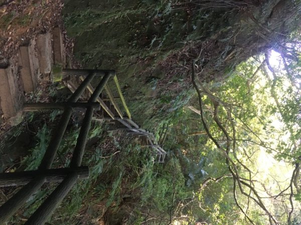 福源山步道、石雲森林步道2358019