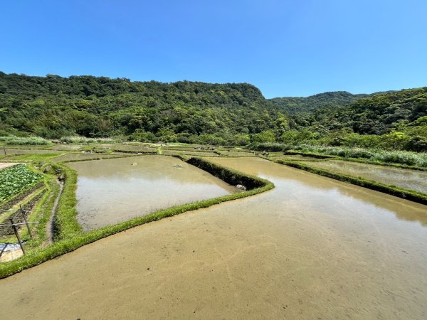 20260402_草嶺古道3102455