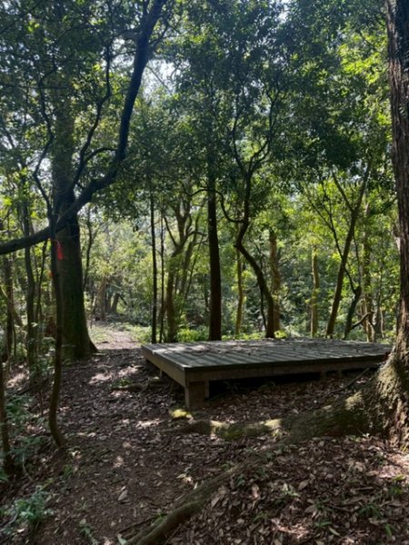 20250502 安坑七山2775094