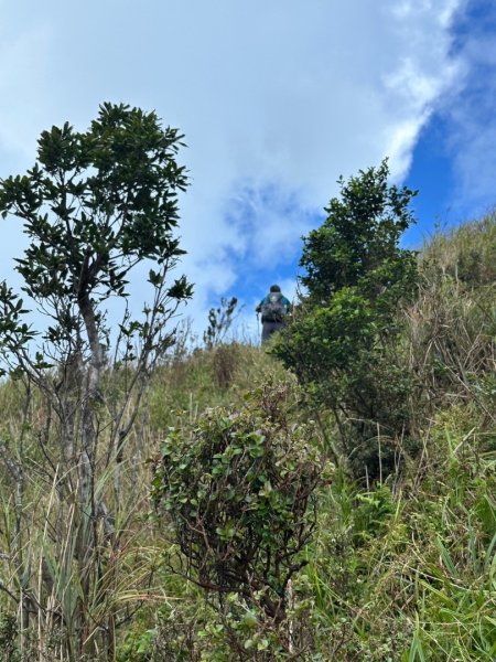 烘爐地山、桶後溪源頭O走2593128