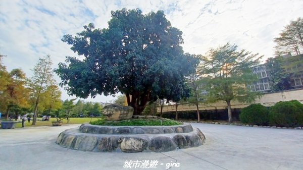 【南投名間】欣美創意園區~落羽松2968345