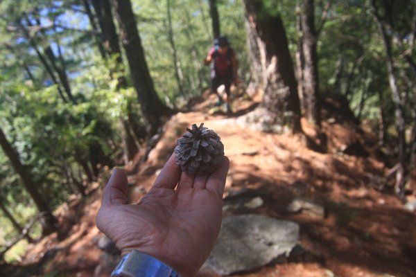 非正規路線上郡大山1504261