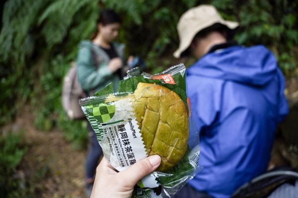 新竹石牛山步道｜小百岳2756524