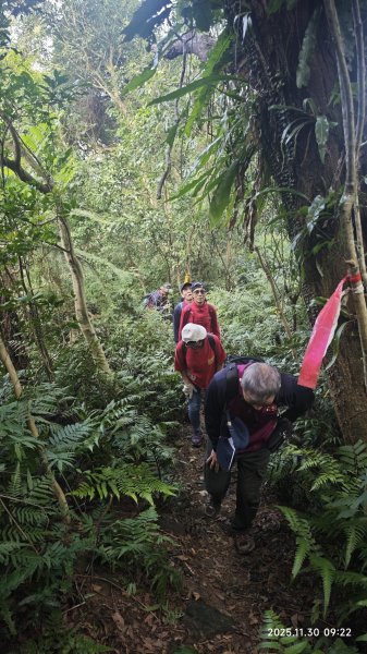 2025-1130 新店三(二)潭縱走2966899