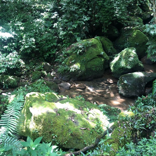 臭頭山 到 東勢格山1009241