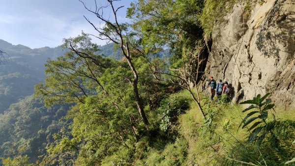 嚼嚼斯古道部落探勘鱉頭山~象山 2024年9月28日2615632