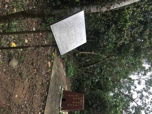 公司寮山（水🐃城2736476