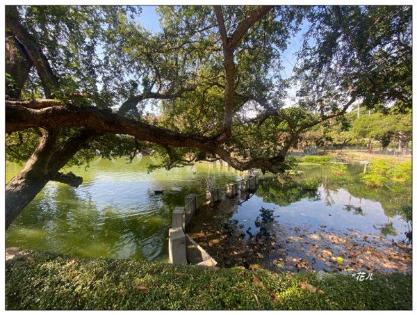 台中公園基石 (砲台山三角原點)2992166