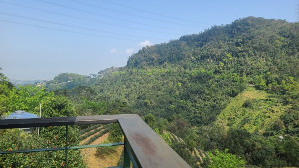 2025-0310臺北大縱走第七段2737272