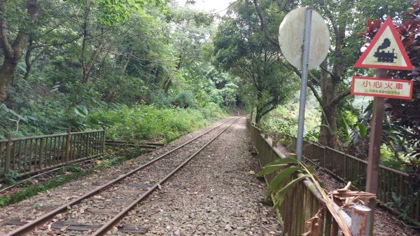 雲嘉九連峰1438976