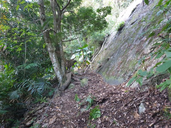 冬瓜山步道與洗水山1560933