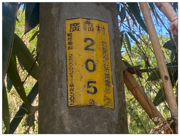 后里 七星山 新發現基石2990037