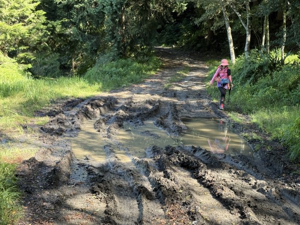 大雪山林道-屋我尾山O繞 202506152816269