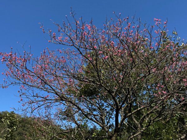 二格山走南邦寮山經草湳福德宮回二格公園3005500