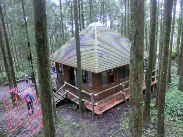 馬武督森林566516