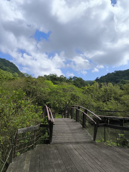 20251108草嶺古道2936114