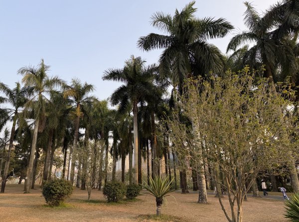 [茂名馬之行-12] 2026_0119 蓮花山公園2996927