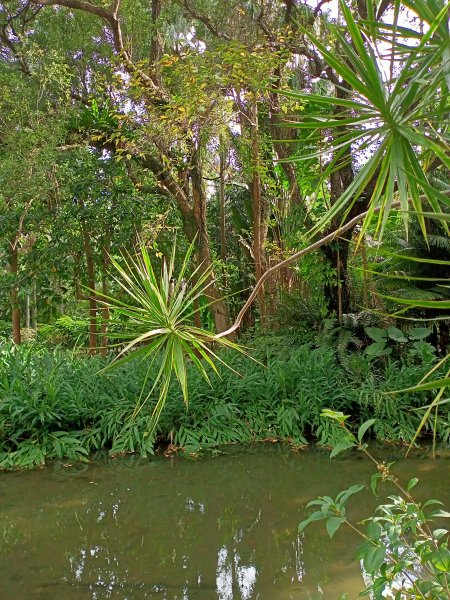 【南山神壽任務尋寶趣】徜徉台北植物園步道1575635