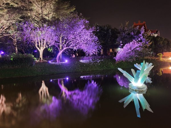 【鹽水-2020月津港燈節】來企賞水燈822491