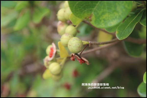 基隆嶼海上龍珠秘境之島724511