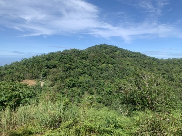 20250531屏東虻彈山東峰2803172