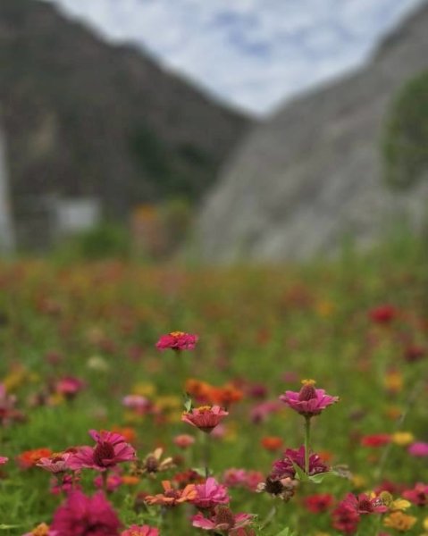 川藏深度之旅33天/A行程2901300