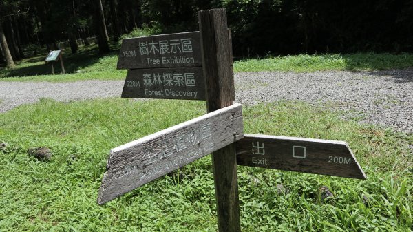 福山植物園登山健行趣(步道)2269342