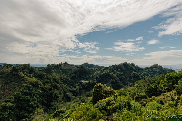 [台中]聚興山2703788