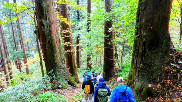 山形縣羽黑山神社2929698