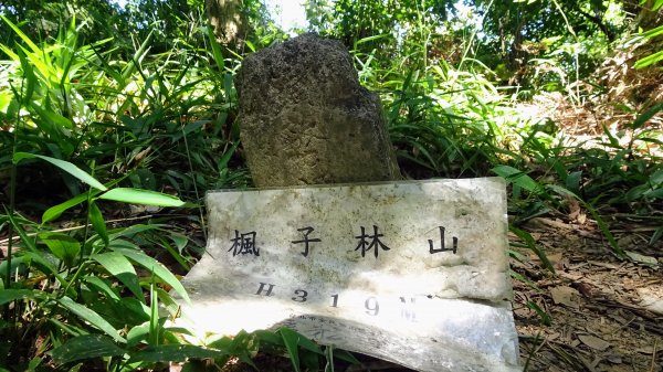 冷飯坑古道,烏月古道2292957