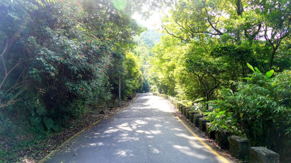 汐止二山三瀑(秀峰瀑布,,茄苳瀑布,大尖山瀑布)2858227