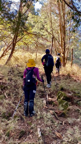 楠梓仙溪上南玉山1373104