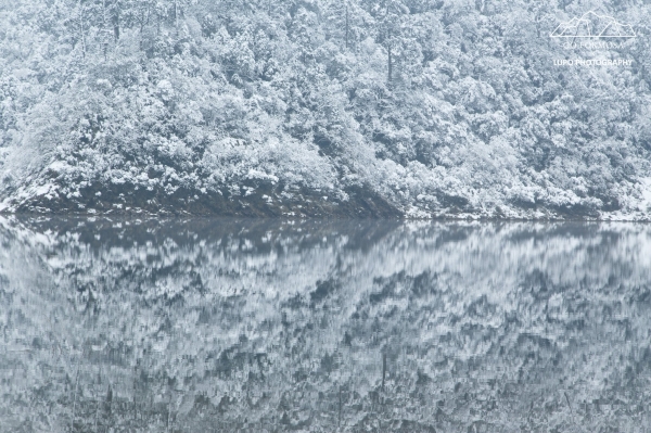 【攝野紀】夢幻般的雪中松蘿湖264557