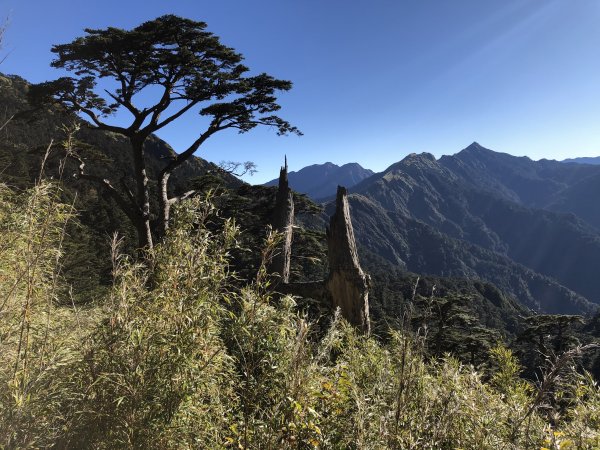 2019_1215_奇萊南峰_南華山2015698